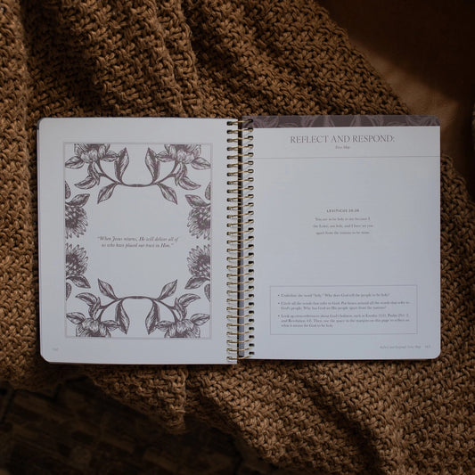 A Year in the Bible | Volume 1 Bible Study