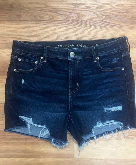 American Eagle Shorts-Size 14