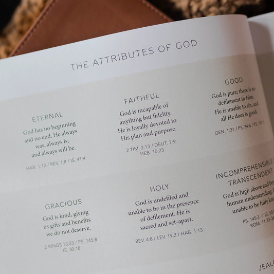 Esther Bible Study