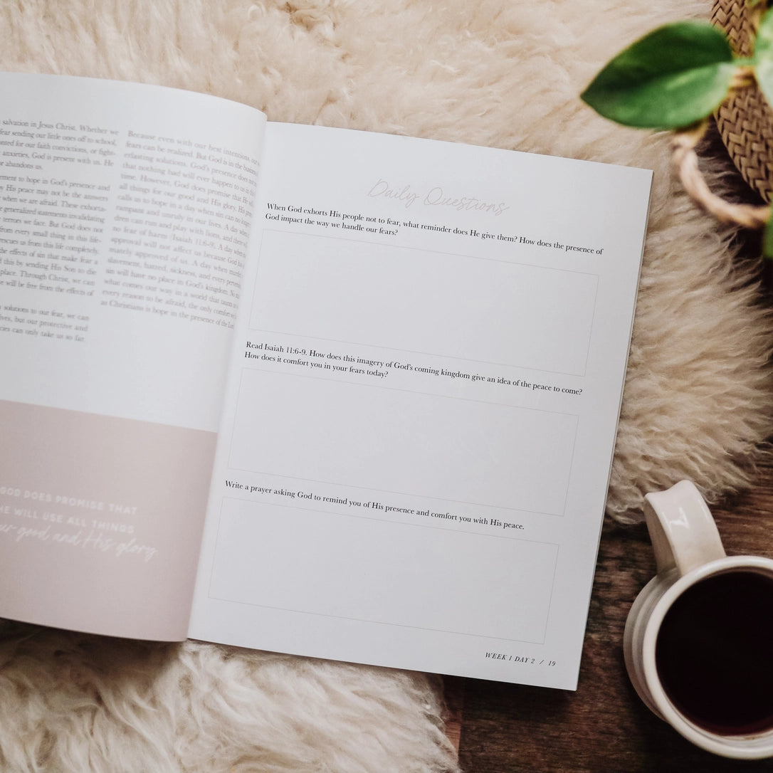 When Fear Meets Faith Bible Study