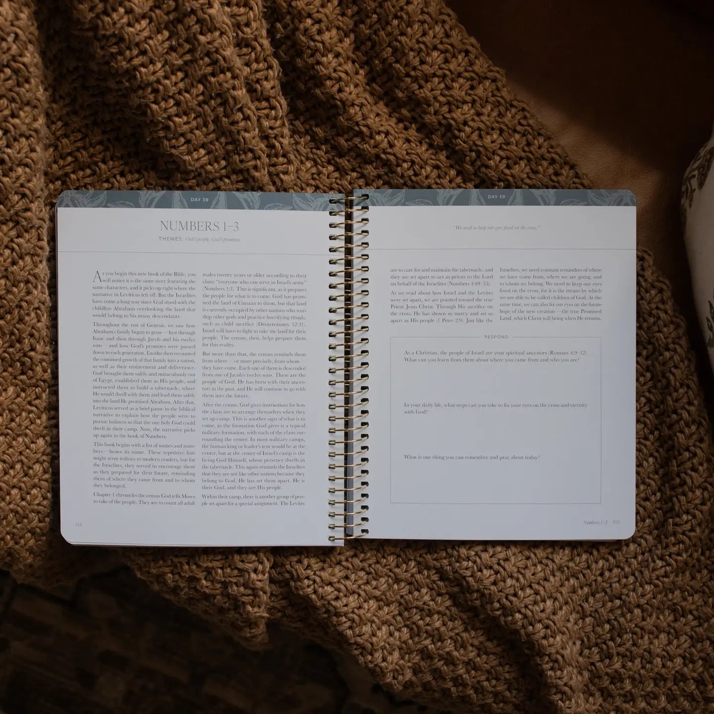 A Year in the Bible | Volume 1 Bible Study
